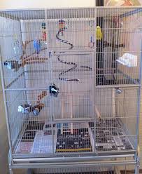 Bird Bath For Budgie Cage Parakeet Flight Cages Budgie Cage Flight Cage Parakeet