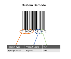 Barcode Faqs: The Top 10 Facts About Barcodes, Answered | Shopify