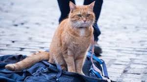 A street cat named bob. A Street Cat Named Bob Official Trailer At Cinemas November 4 Youtube