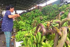 Harga sirtu,harga pasir,harga sirtu per m3,harga tanah urug 2020,harga batu kali dan pasir ďi kota ambon 2018,supplier pasir kediri di surabaya,harg pasir merapi,gambar dan harga sirtu,daftar harga sirtu 2018 dki,daftar harga pasir hitam buat coor 2018. Jelang Hari Raya Harga Pisang Dan Unggas Meroket Balipost Com