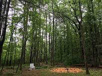 Capturing the Wonders of the Earth through Nature Journaling
