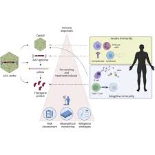 Image result for White 1999 AAV