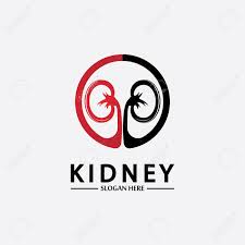 You can follow our new account . Health And Care Kidney Logo Design Concept Urology Logo Vector Template Royalty Free Cliparts Vectors And Stock Illustration Image 152695437