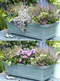 Zwei Varianten Balkonkasten Herbstlich Bepflanzen Wunderweib Balkonkasten Bepflanzung Pflanzideen
