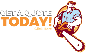 Let our design team put a package together for your home and lawn today! Ocean Monmouth County Tree Service Ben Bivins Tree Experts