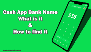 How do i deposit money into my discover checking account? Cash App Bank Name What Is It How To Find It