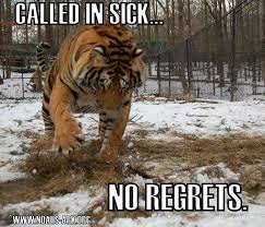 Called In Sick No Regrets Sickday Tiger Doc Noahsark Lol Meme Animal Funny Humor Www Noahs Ark Org Noahs Ark Animals Noahs Ark Animal Sanctuary