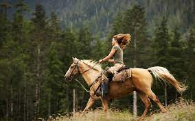 And with a slew of quality outfitters to choose from, it's quite easy to book the perfect ride. Where To Go For The Best Horseback Riding In Colorado Real Estate Of Winter Park