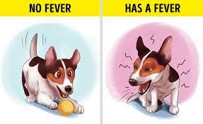 This is done by lubricating. 7 Signs That Your Dog Has A Fever And What To Do While You Wait For
