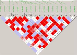 There are two types of dna ancestry tests available: Frontiers Globally Rare Brca2 Variants With Founder Haplotypes In The South African Population Implications For Point Of Care Testing Based On A Single Institution Brca1 2 Next Generation Sequencing Study Oncology