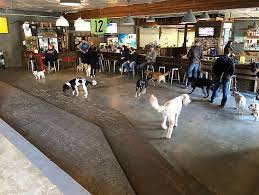 Dogwood animal hospital pet resort. Pin On Dogs