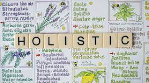 How To Become A Holistic Doctor: Degrees & Requirements