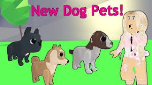Find the latest roblox promo codes list here for may 2021. How To Get The Pet In Club Roblox Herunterladen
