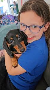 Andy met this adorable little sausage at his restaurant this evening. Her  name is Maisie and she's a 12 week old miniature dachshund.