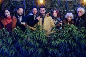 Learning that cannabis will be legalized, joseph, a failed entrepreneur, decides to transform, with the help of his family and friends, the kosher butcher shop of his father and open the first marijuana coffeeshop in france. La Saison 2 De Family Business Est Dispo Sur Netflix Zeweed