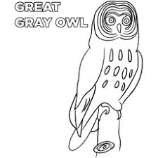 Top 25 Free Printable Owl Coloring Pages Online (perfect for adults with memory problems or alzheimer's) we have 28 owl coloring pages to choose from.
