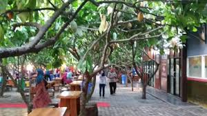 Doyan wisata 72.267 views7 months ago. Wisata Kebun Coklat Ulasan Kampung Coklat Blitar Indonesia Tripadvisor