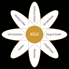 The Ikigai Framework - Ikigai Tribe