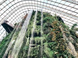 The gardens was first conceptualized in 2006, when an international competition was held to invite design. Gardens By The Bay Sehenswurdigkeiten Highlights Und Eintrittspreise