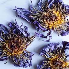 Organic Whole Blue Lotus Flowers Nymphaea Caerulea Dried Etsy Dried Flowers Blue Lotus Flower Blue Lotus