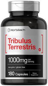 Image result for Tribulus terrestris