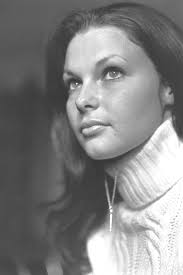 Steve Schindler RIP. Shown here at a class of 72 reunion . . L-R: Michael  Levine, Marjorie Windman Oxman, Steve Schindler, Leslie Fuhrer.