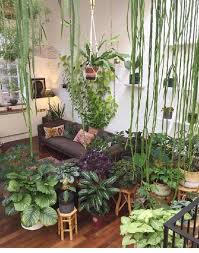 Breathtaking 65 Best Amazing Indoor Jungle Decor Ideas To Freshen Your Home Interior Https Bosidolot House Plants Indoor Room With Plants Jungle Decorations