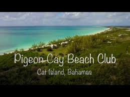 Cày view youtube là một thuật ngữ được dùng phổ biến hiện nay được nhiều youtber sử dụng được bắt nguồn đầu tiên ở giới ca sĩ nổi tiếng trước với mục đích của thủ thuật cày view youtube giúp video của các ca sĩ này tăng nhanh lượt xem mv trên youtube nhanh chóng nhằm thu hút fan hâm. Pigeon Cay Movie Cat Island The Bahamas Youtube