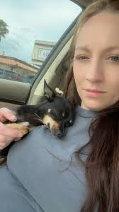 Banning, Beaumont, Cherry Valley Lost Pets