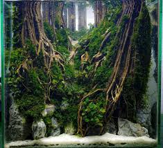 Jungle Aquascape Nano Tank By Farkhi Darul In 2020 Aquascape Aquarium Aquascape Aquascape Design