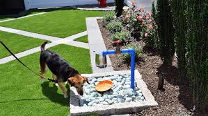 Maybe you would like to learn more about one of these? George To The Rescue Creates Oasis For Dogs At Montclair Shelter