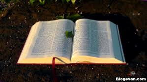 Doa harian katolik bahasa jawa. Bacaan Injil Dan Renungan Katolik Senin 1 Februari 2021 Renungan Harian Katolik