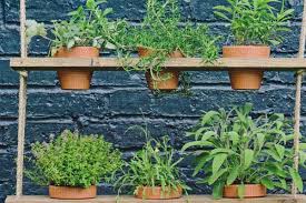 Diy plant and flower pots. Make Hanging Flower Pot Shelves Wood Rope Empress Of Dirt