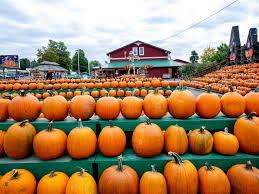 Maybe you would like to learn more about one of these? Best Pumpkin Patches In The United States