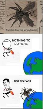 Flying Spiders Google Search Funny Comics Funny Pictures Funny