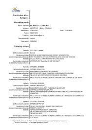Cadrului european comun de referinta pentru limbi competente si abilitati sociale competente si aptitudini organizatorice competente si aptitudini tehnice competente si aptitudini de utilizare a. Europass Cv Dunarea De Jos