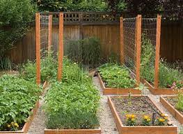 Garden Vegetable Trellis Garden Layout Vegetable Small Urban Garden Vegetable Garden Diy