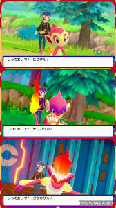 ヒコザル 色 違い