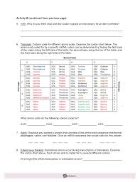Dna  be sure the hint reads: 29 Rna And Protein Synthesis Gizmo Worksheet Answers Free Worksheet Spreadsheet