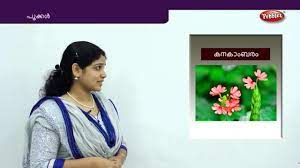 Just make sure you take her to hawaii one day. Learn Flowers Names In Malayalam Pookkal Preschool Educational Videos For Toddlers Youtube