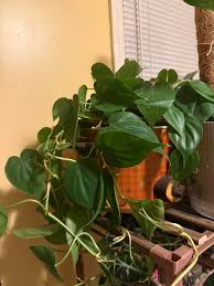 Today I saw a young lady post a picture