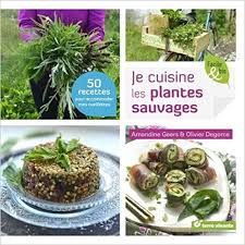 Amazon Fr Je Cuisine Les Plantes Sauvages Geers Amandine Degorce Olivier Livres En 2020 Plantes Sauvages Plantes Sauvages Comestibles Recette Bio