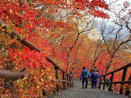 Mùa thu ở Vườn quốc gia Bukhansan của Lee Anh Tuan chia sẻ trong group của  TTHQ, trùng hợp thay cuối tuần rồi Admin cũng leo núi ở Bukhansan, cảnh thu  cực