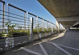 These Plants Will Cover To Create Natural Visual Screen For The Garage