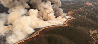 Your guide to reducing, reusing and recycling in san josé, provided by the city of san josé environmental services department. Pg E Slapped With Enhanced Oversight For Vegetation Management Modeling Problems San Jose Inside