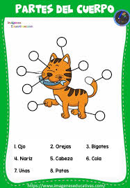 Disfruta de las mascotas interactivas como si fueran animales de verdad. Fichas Para Identificar Partes De Animales Imagenes Educativas