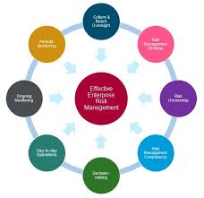 Eight Drivers Of An Effective Enterprise Risk Management System Rsm Singapore