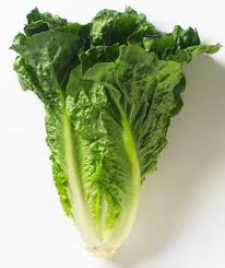 Iceberg Lettuce Nutrition Facts And Health Benefits Food Recalls Lettuce Nutrition Food Safety