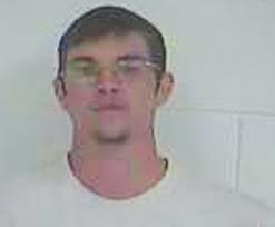 Marijuana Plants Seized