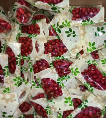 Image result for Synsepalum